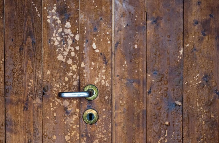 {acf_sh_galleri_sh_galleri_tittel}